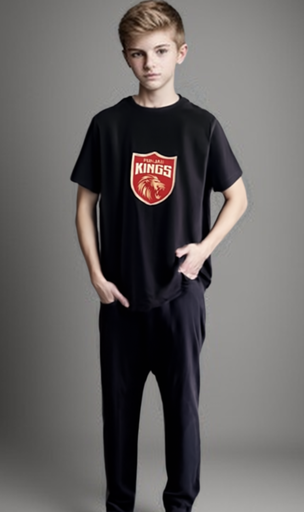 Punjab Kings Tshirt